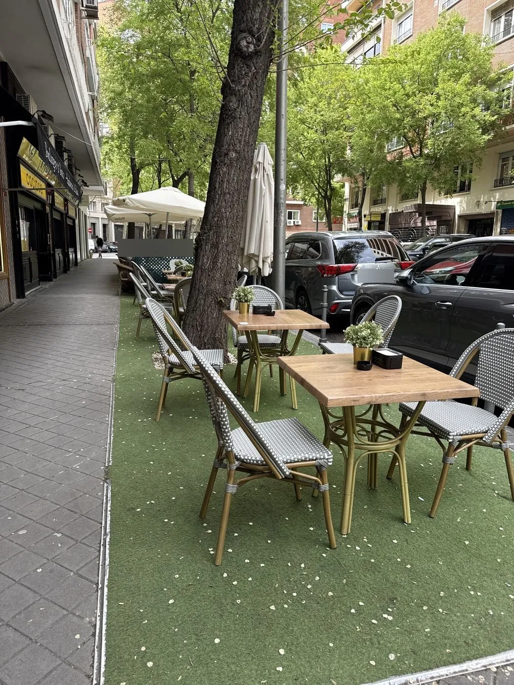 La terraza